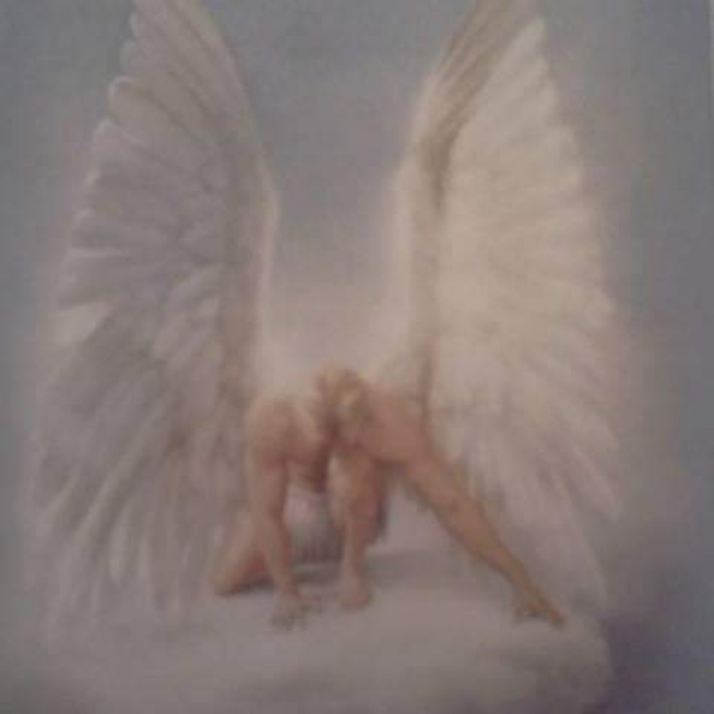 Meet your Posher, Benito